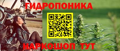 ГАЛЛЮЦИНОГЕННЫЕ ГРИБЫ Обь