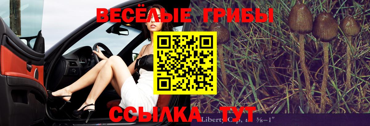 Уварово  Галлюциногенные грибы MAGIC MUSHROOMS  Вход с VPN 